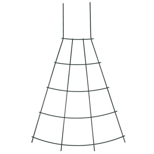 Struttura rampicante ferro - rampicante,